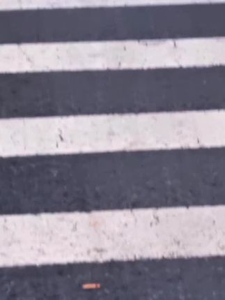 当淄博的清晨遇上达利园效应,光在叶间跳舞,这画面太治愈了,#淄博秋天正确打开方式#淄博 #淄博秋天
