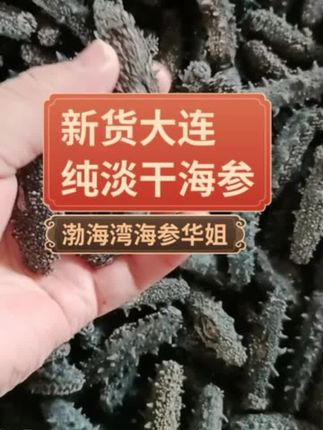 淡干海参】吴记深60头/斤500g大连国标纯淡干海参泡:/ 发高口感好 #大连国标纯淡干海参