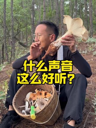 哎呀,什么声音这么好听啊?#我的乡村生活 #捡菌子 #鸡枞 #捡菌子的乐趣 #三农流量扶持计划