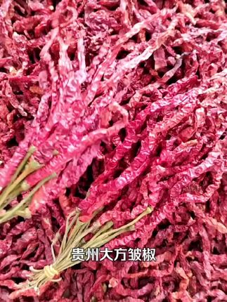 贵州毕节大方皱椒好吃不辣#舌尖上的味道 #好食材好味道 #美味下饭菜 #皱椒之乡贵州大方 #皱椒