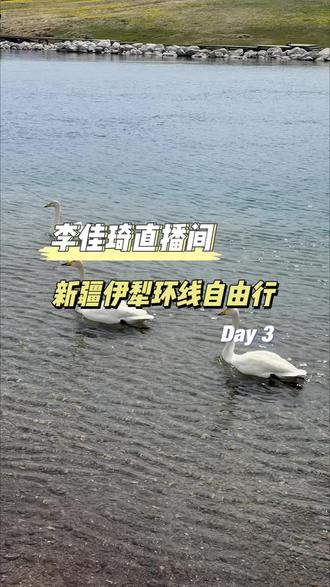 李佳琦直播间伊犁环线小团自由行Day 3
@李佳琦Austin
#享受大自然 #旅行碎片 #vlog日常 #赛里木湖 #我的旅行日记