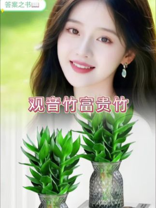 不用土,不招虫,水里插几根就活,新手完全能驾驭。叶片层层翠绿,跟观音玉净瓶似的,自带禅意,放办公桌,工作累了瞅一眼,解压又舒服;#爱生活爱养花 #家庭种植 #种植小技巧 #室内绿植