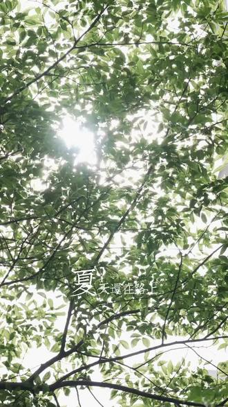 #追觅 #时空象限 追觅MF10空气循环扇