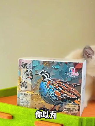 挑食小猫的克星,猫咪嘎嘎爱吃,性价比高真材实料#猫饭 #新手养猫 #养猫人 #养猫新手