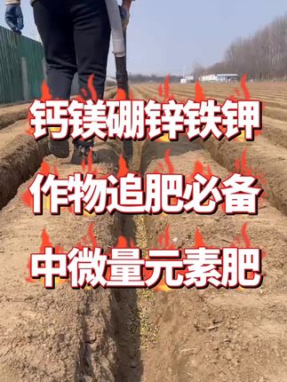 钙镁硼锌铁钾作物追肥必备中微量元素肥#三农#农业#种植#追肥