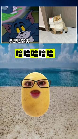我已疯魔哈哈哈#娱乐#八卦#吐槽
