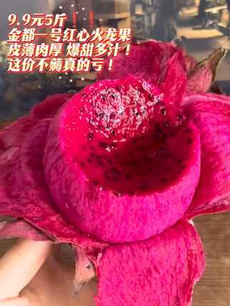 9.9元5斤!金都一号红心火龙果!皮薄肉厚,爆甜多汁!果园直发!这价明天就没了,不薅真的后悔一整年!#红心火龙果 #金都一号红心火龙果 #新鲜应季水果 #口感特别好#超便宜超划算 @抖音热点宝 @抖加🔥上热门🔥dou+🔥热点宝 @抖加🔥上热门🔥dou+🔥热点宝