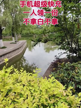 适用于华为荣耀安卓系列手机,Type-c接口数据线#数据线 #充电器 #手机快充数据线推荐 #超便宜超划算 #爆款热卖中