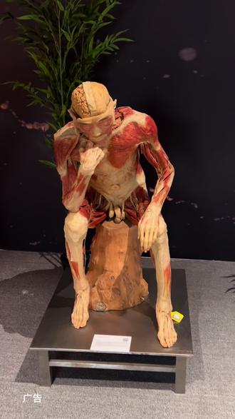 敬畏生命,感知生命奥秘,生命奥秘博物馆杭州馆终于官宣4月26日开馆啦!#人体博物馆 #生命奥秘博物馆 #杭州生命奥秘博物馆 #博物馆 #生命