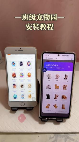 《泡沫小猪》带来下载班级宠物园教程,自主领养,宠物随积分成长升级#班级宠物园怎么下载#班级宠物#班级宠物园下载方法#班级宠物园