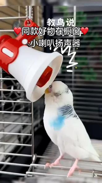 教玄凤吹口哨或者教虎皮说话,准备一个录音设备 #教玄凤吹口哨 #玄凤吹口哨教学 #鹦鹉录音 #鹦鹉录音机#好物推荐🔥