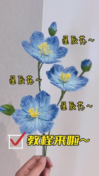 扭扭棒|超级梦幻的星辰花教程来啦~#扭扭棒 #扭扭棒的100种玩法 #养花人 #扭扭棒教程 #手工diy