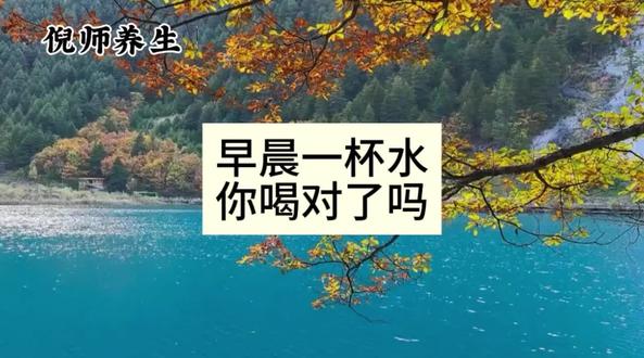 早晨空腹喝水,你喝对了吗?#倪海厦老师讲中医