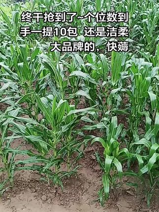 #抽纸 #洁柔抽纸 #抽纸巾 #抽纸巾 #抽纸推荐