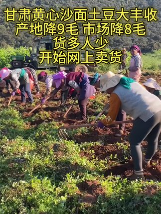 还在等什么呢?赶紧把这份来自甘肃的美味带回家,让全家人都尝尝这2025年新鲜出土的黄心沙面土豆吧!#甘肃黄心土豆 #黄心土豆 #沙面土豆