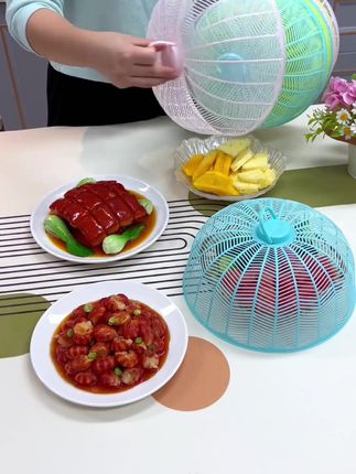 夏天苍蝇蚊子比较多,用这个 #迷你菜罩 通风透气,一菜一罩很方便,叠加收纳也不占地方 #镂空菜罩 #菜罩 #雷哥好物