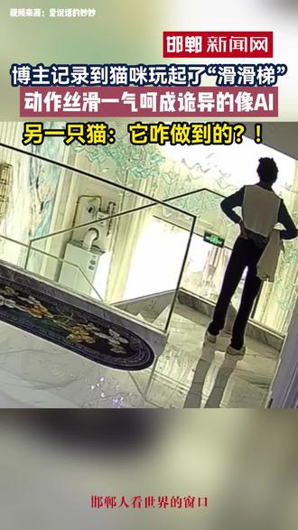 猫咪玩起了滑滑梯,动作一气呵成