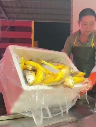 #黄花鱼