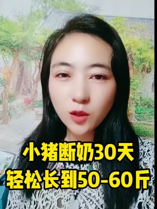 小猪断奶轻松长到50-60斤#养猪人 #养猪人不容易 #自繁自养母猪