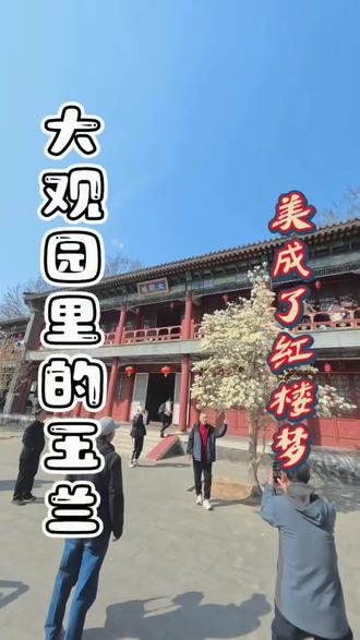 🌸 大观园玉兰花位置
· 核心观赏区:省亲别墅内的大观楼前,红墙黛瓦配白玉兰,非常出片。
· 其他点位:蘅芜苑、缀锦楼及怡红院东侧也有零星分布。
🚗 交通攻略
· 地铁:14号线西铁营站D口出,步行约10-15分钟即达。
· 公交:乘坐59路、122路、474路等至“大观园站”下车。
#大观楼 #红楼梦 #有没有本地人说说