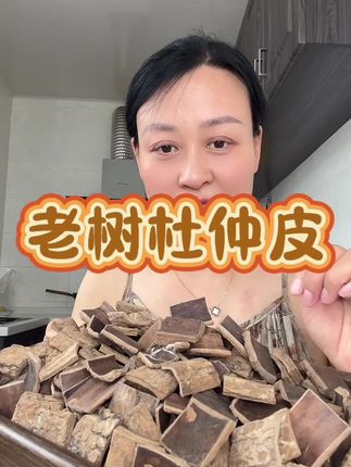 特别厚实,拉丝浓密,秦岭深山老树杜仲皮#杜仲皮泡酒 #杜仲皮
