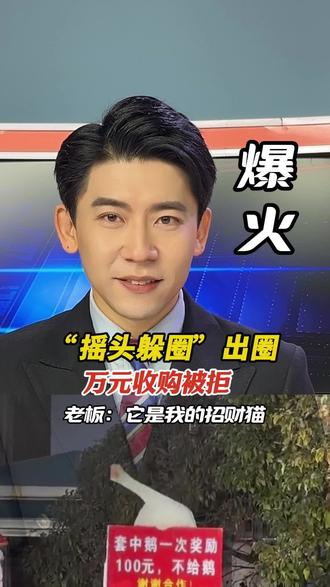套圈摊一只鹅,有人出一万都不卖?老板:它是我招财猫!#摇头大鹅@抖音小助手