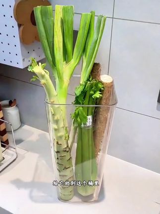 跟抖音博主学的 @淮山,山药,大葱,莴苣等等长条形的蔬菜终于有专门的收纳桶了,不占空间还不会搞的到处都是泥巴,太好用了#厨房好物 #蔬菜收纳 #蔬菜置物架 #收纳