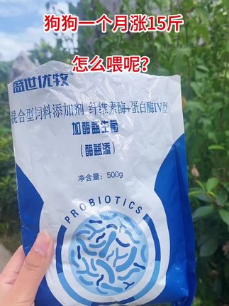 #科学养狗攻略