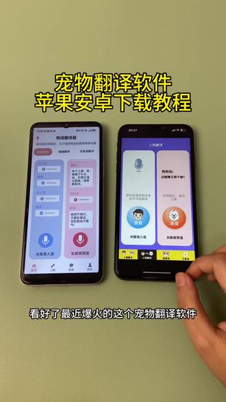 《初初资源》太神奇了 居然听懂了,宠物翻译软件苹果安卓下载教程#动物翻译器 #听懂人话的动物 #猫语翻译器 #动物成精