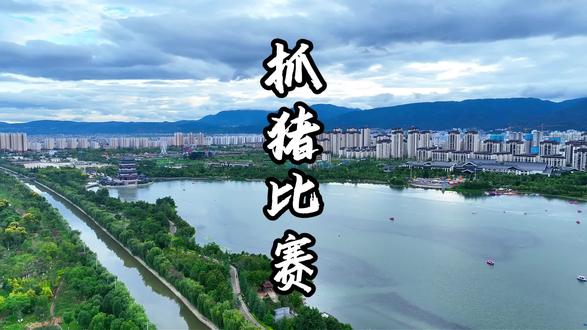 新年狂欢来啦!抓大猪空降青华海,抓猪比赛超热闹,年味拉满,等你来战!#抓大猪 #青华海 #春节抓猪大赛 #保山年味