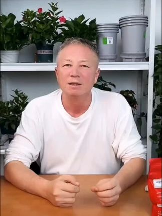 #爱种花卉店米尔扎提红袋子专用肥料快速生长水溶肥#家庭养花达人 #