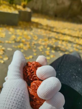 盘的心境,磨的是棱角…#文玩爱好者 #文玩核桃 #四座楼文玩核桃 #文玩人