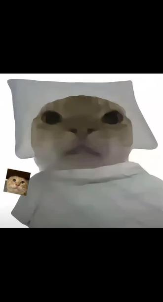 最有大脑之人#火影忍者 #福瑞#原神牛福