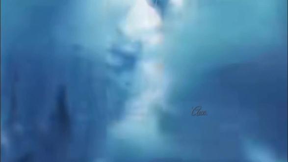 许我长生无病,免你孤苦伶仃。
#简伶 #我不是戏神 #三九