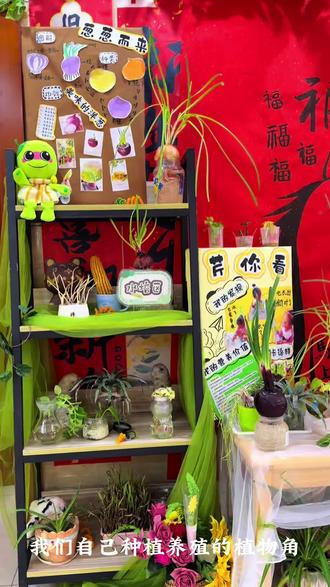 自然成长区
#观察植物生长 #植物生长日记 #自然角种植区 #万物皆可种#种小小的种子开小小的花 #种子发芽生长过程