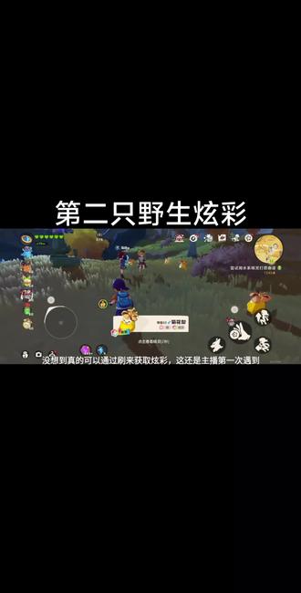 野生炫彩菊花梨 #洛克王国世界