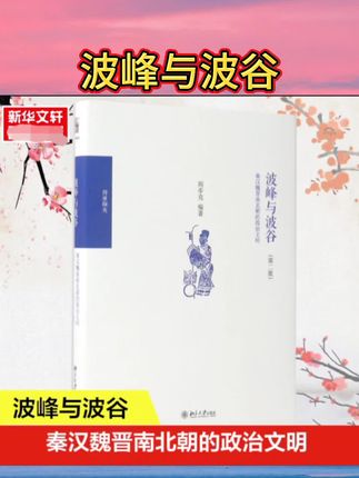 波峰与波谷:秦汉魏晋南北朝的政治文明 第二版 阎步克 著 制度史研究经典著作 两汉魏晋南北朝史 北大出版社 正版书籍#波峰与波谷 #每日分享 #好书推荐 #好书分享 #书籍推荐