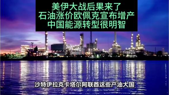 美伊大战后果来了,石油涨价欧佩克宣布增产,中国能源转型很明智#行业大揭秘