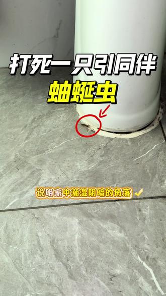 打死一只蚰蜒会引来更多同伴吗?这个就是蚰蜒俗称钱串子,草鞋底,它们行动能力极强,爬行速度飞快,能够在墙体缝隙,地砖夹缝穿梭,但家中出现蚰蜒,说明家中潮湿阴暗的角落早已滋生了大量小虫,但话又说回来,不是打死蚰蜒引来同类,是家里的潮湿环境和虫源,持续吸引蚰蜒定居繁殖,徒手打死蚰蜒隐患极大,蚰蜒体液携带细菌,且部分蚰蜒受刺激会释放异味,同时残留的虫尸会吸引腐生小虫,间接打造出害虫滋生温床,想要彻底杜绝蚰蜒滋生,推荐这款无色无味的蚰蜒杀虫剂!#蚰蜒 #钱串子 #百脚虫 #蚰蜒对人有危险吗 #蚰蜒怎么消灭