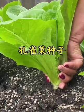 大语文时代,语文考试知识面非常灵活,一定要帮孩子多积累这些百科常识 #育儿#家庭教育 #百科知识 #文学常识