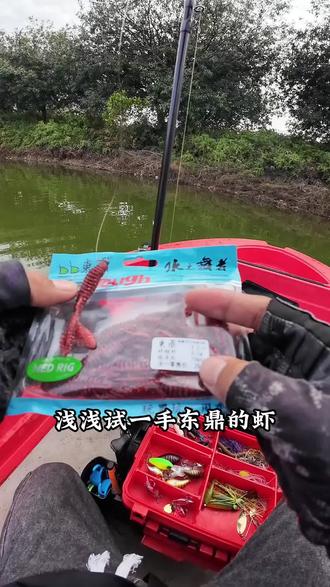 小试一手非常耐用好用的蜉蝣虾#东鼎软饵 #东鼎蜉蝣 #东鼎蜉蝣虾 #打龟是不可能的