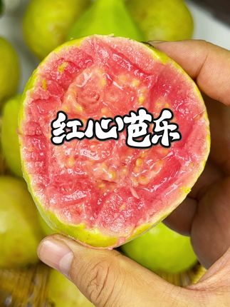 #红心芭乐 #红心番石榴 #太好吃了吧 #应季水果 #新鲜采摘