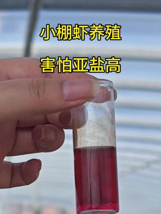 #小棚虾养殖#水产养殖#鱼虾蟹养殖 用它降亚盐不反复