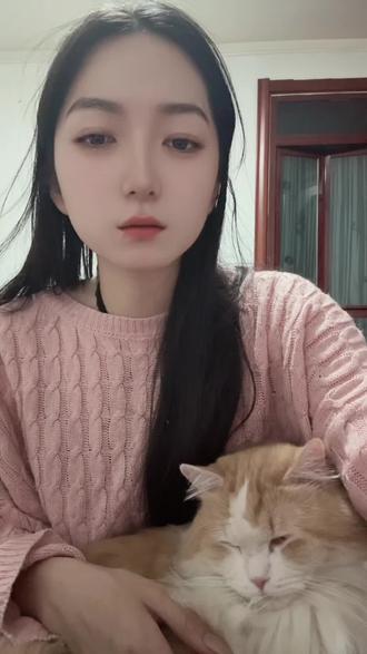猫丢了怎么办#找猫方法