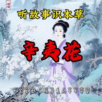 听故事识本草,今天认识辛夷花。#本草纲目 #中药材