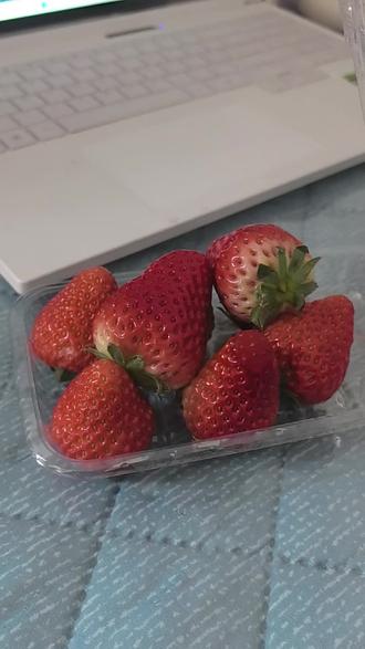 #草莓 #草莓尖尖 我只吃草莓尖尖