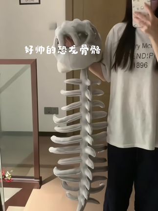 好喜欢男朋友送的恐龙骨骼!穿上感觉要进化了哈哈哈#是时候安排一下了 #恐龙 #毛绒玩具