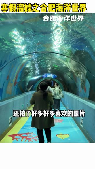合肥海洋世界到底值不值#合肥海洋世界#亲子游玩好去处#春节去哪玩#亲子游玩好去处 #春节