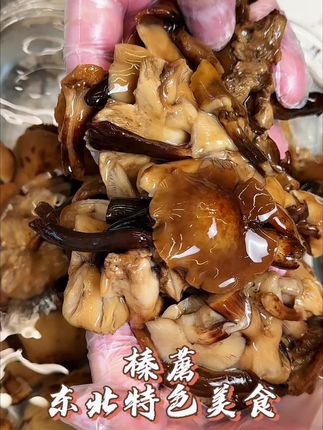 东北长白山头茬榛蘑 #下饭菜 #东北家常菜 #榛蘑 #太好吃了 #家常菜