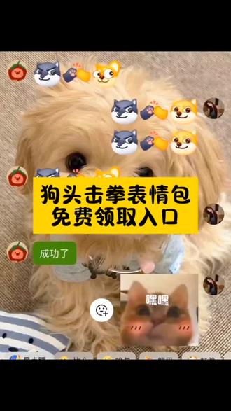 狗头击掌特效教程 狗头击掌玩法 狗头碰拳怎么打出来教程 抖音隐藏表情包大全 握爪表情包在哪里 狗头碰拳表情包怎么弄 抖音表情狗头击掌怎么触发 狗头击掌玩法 击掌小爪教程 狗头击掌表情包 狗头击掌表情怎么打出来 击掌小狗教程 抖音击掌动作教程 狗头击掌图片 抖音两个狗头击掌表情图 抖音两个狗头击掌表情图 狗头击掌怎么打出来 微信隐藏功能表情包#剪映 #狗头击掌表情怎么打出来 #表情包 #狗头击掌玩法 #抖音击掌动作教程